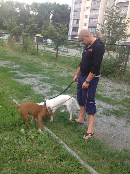 Тимур Мизимбаев