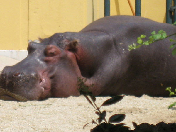 Инна Иииииии