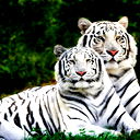 Ерлан Бисимбинов