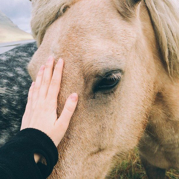 Влада Маяковская