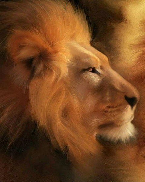 Берниязов Ернар