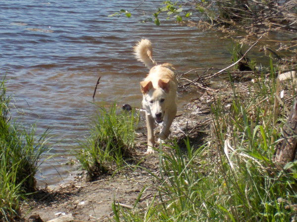 Валерий Рауданен