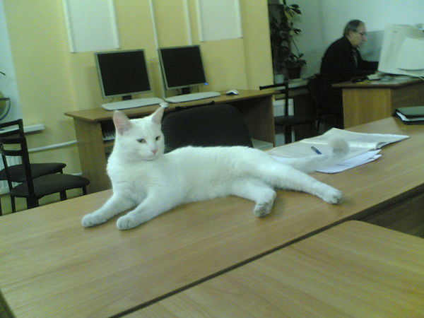 Слава Тресковский