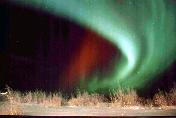 Альберт Алиев