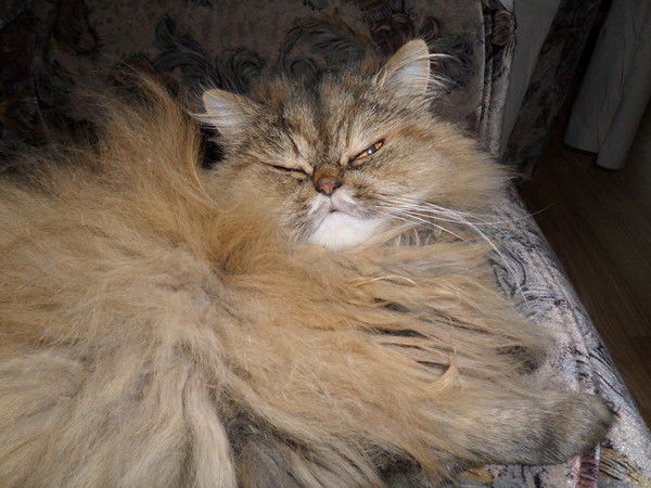 Галина Яким