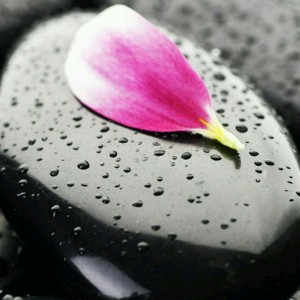 М Магомедгаджиева