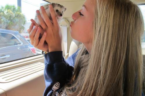 Елена Бушуева