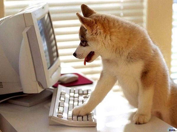 Гульзада Нуртаева