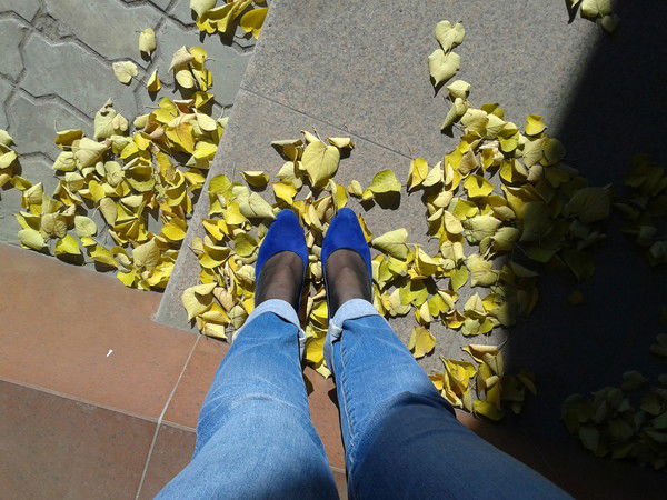 Anastassia Andriyanova