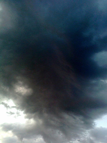 Владимир Шохин