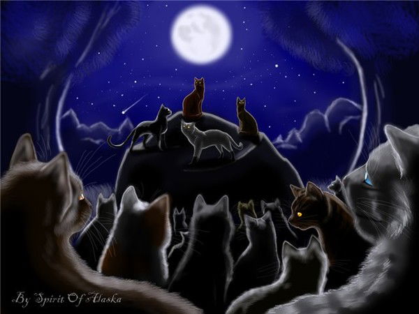 Просто Дима