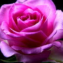 Оксана Святкина