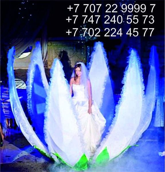 Выход Невесты Кокшетау