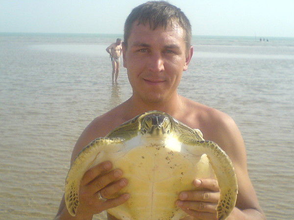 Сергей Новиков