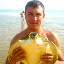 Сергей Новиков