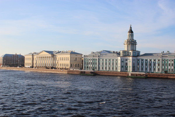 Анна Зибрина