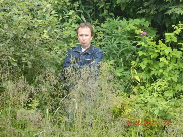 Алексей Ерофеевский