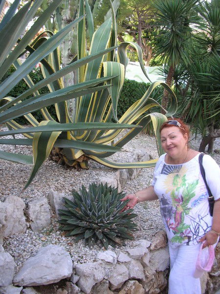 Александра Богданова