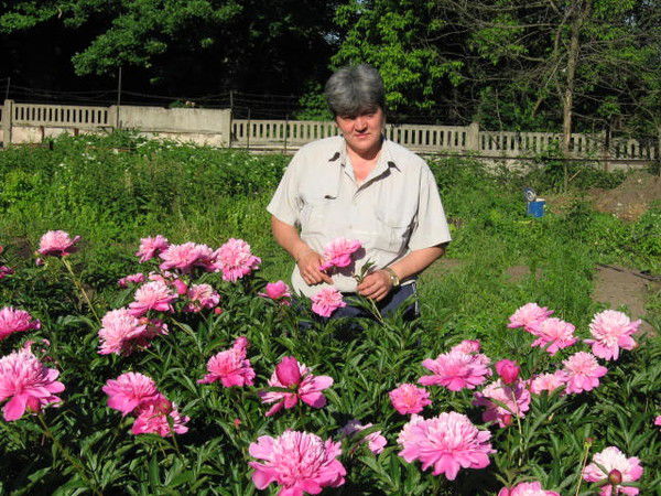 Лариса Сычева