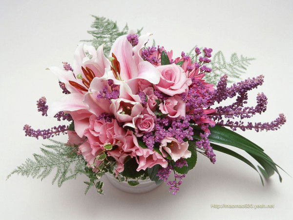 Венера Звезда