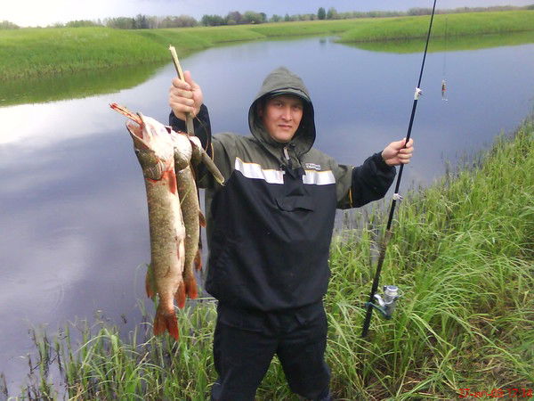 Ринат Хасанов