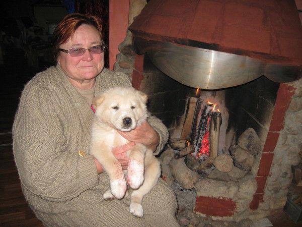 Алла Голдыш