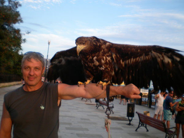 Игорь Пшеничных