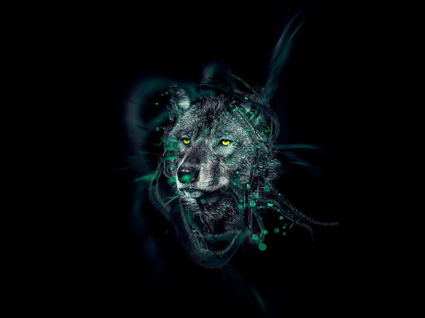 Владимир Красота