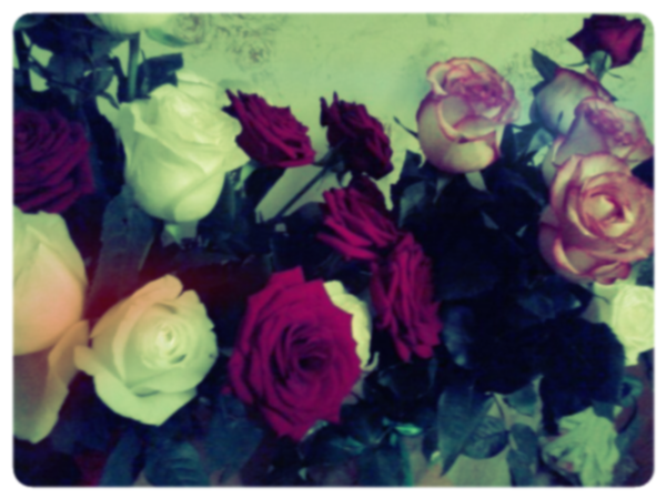 Виктория Буц