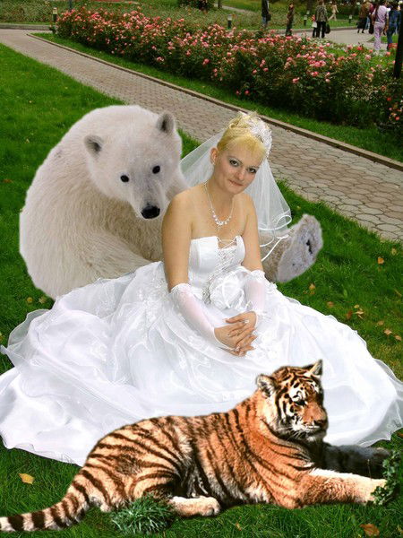 Виктория Янковская