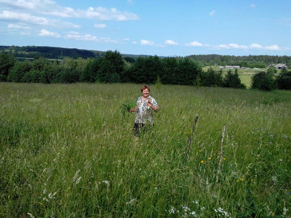 Наталья Дроконова