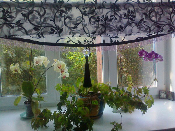 Любаша Калинина