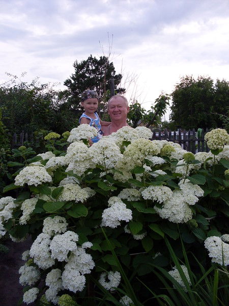 Александр Старун