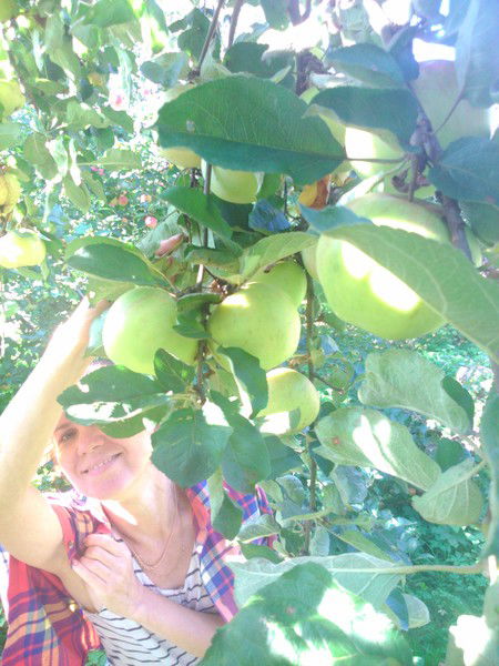 Алена Шамрай