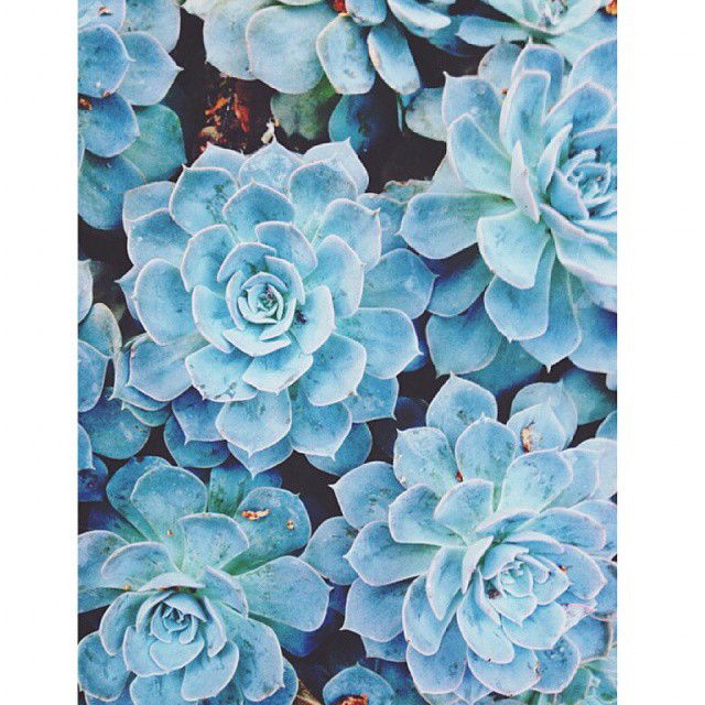 Аяна Орозканова♕