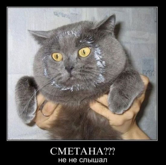 Марина Закурина