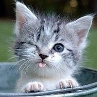 Рафаэль Абдрафиков