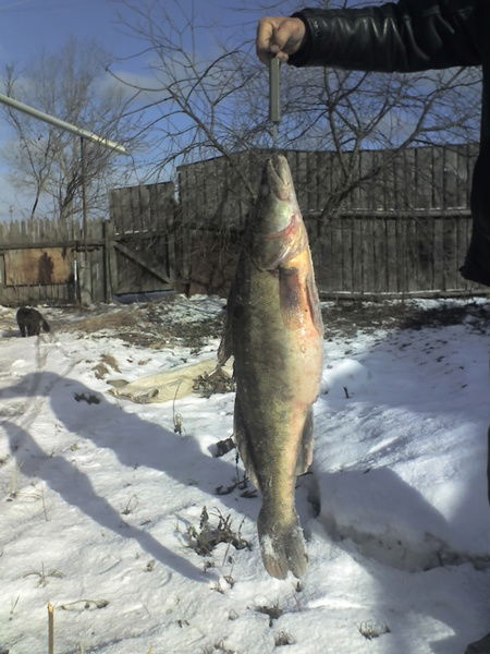 Валера Балакирев