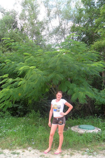 Ирина Ромашевская