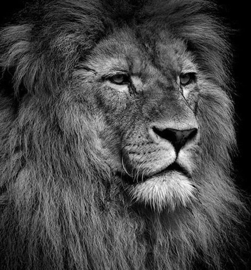 Андрей Барков