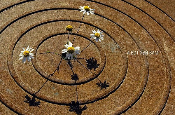 Денис Вандышев