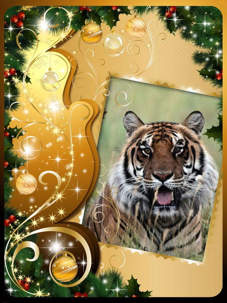 Татьяна Совкова