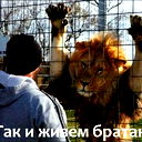 Владислав Истомин