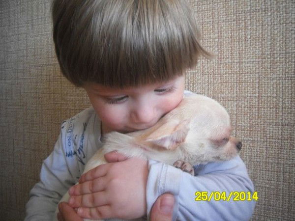 Галина Волова