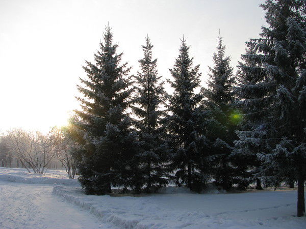 Артем Артемьев