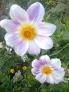 Наталья Кострова