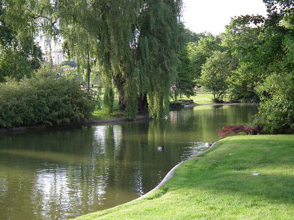 Татьяна Сохарева