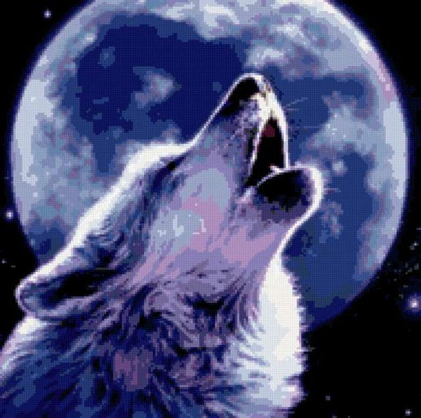 Илья Кунгуряков