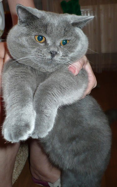 Тина Вокзал 60