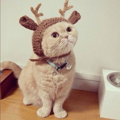 Александра Бесчастнова